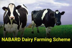NABARD Dairy Loan Apply Online