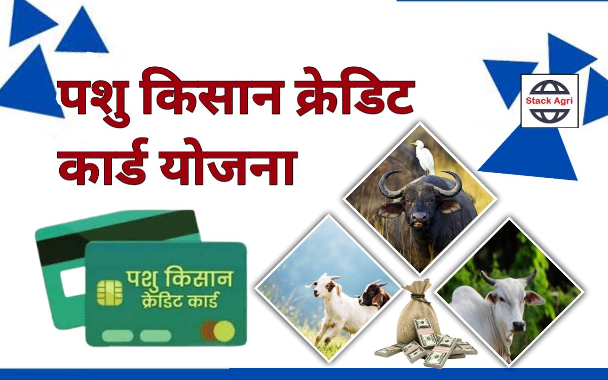 Pashu Kisan Credit Card